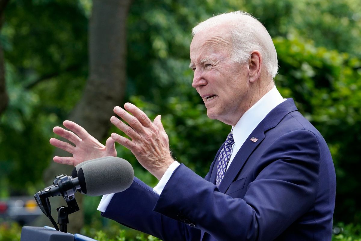President Joe Biden speaks in the Rose Garden of the White House in Washington, Tuesday, May 17, 2022. Biden