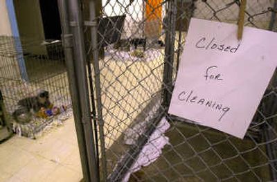 
Kennels disinfect pets' living areas at the first sign of Parvovirus.
 (File/ / The Spokesman-Review)