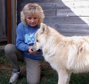 
Nancy Taylor had owned Wolf People for 13 years when this photo was taken in 2006. 
 (Mike Kincaid / The Spokesman-Review)