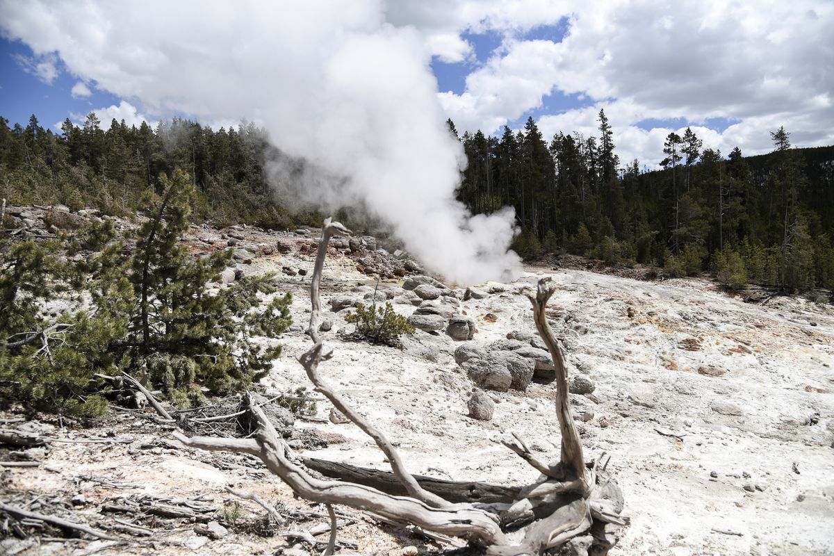 Steamboat Geyser emits a small jet of steam in Yellowstone National Park on May 15, 2018. A thermal spring near Old Faithful, it erupted for only the fourth time in 60 years in September 2018, but has erupted 120 times since March 2018.  (Rachel Leathe)