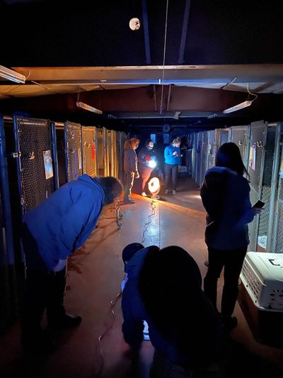 Spokane Humane Society employees work late to ensure all animals are warm amid Wednesday’s early morning windstorm.  (Courtesy photo)