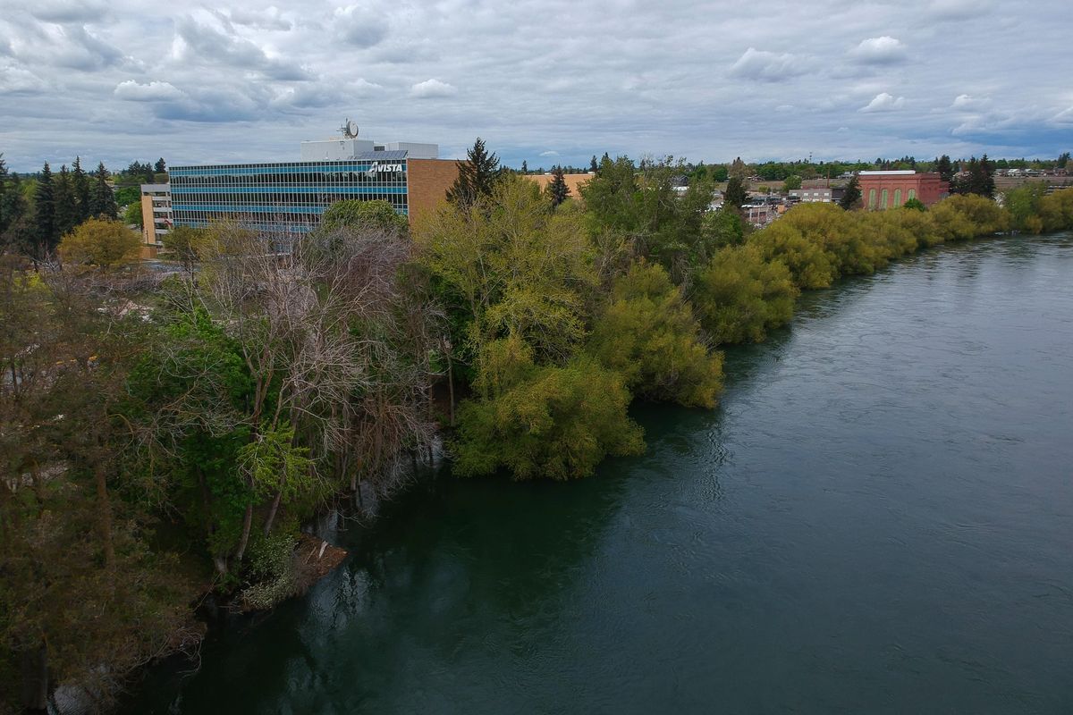 The proposal by Avista to close a section of Upriver Drive and turn the treed Spokane River waterfront by the Avista campus into a public park is on hold until 2021. The proposed park would enhance the Centennial Trail through the area and give the public more waterfront access. (Jesse Tinsley / The Spokesman-Review)