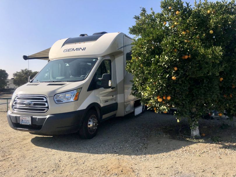 There are hundreds of citrus trees at the Orange Grove RV park near Bakersfield, Calif. (Leslie Kelly)
