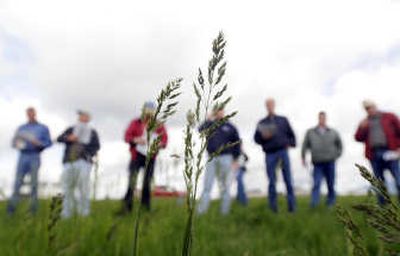 
Farmers, representatives of seed and farm supply companies, and University of Idaho researchers stand in a large test plot near Worley Tuesday,  and listen to the results of a seven-year UI study of bluegass farming with and without burning the fields annually. 
 (Photos by Jesse Tinsley / The Spokesman-Review)