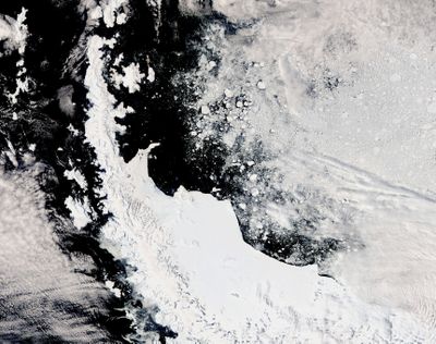 After more than a decade fastened to the coastline, a large expanse of sea ice broke away from the Antarctic Peninsula in January 2022.  (Joshua Stevens/NASA Earth Observatory/Handout)