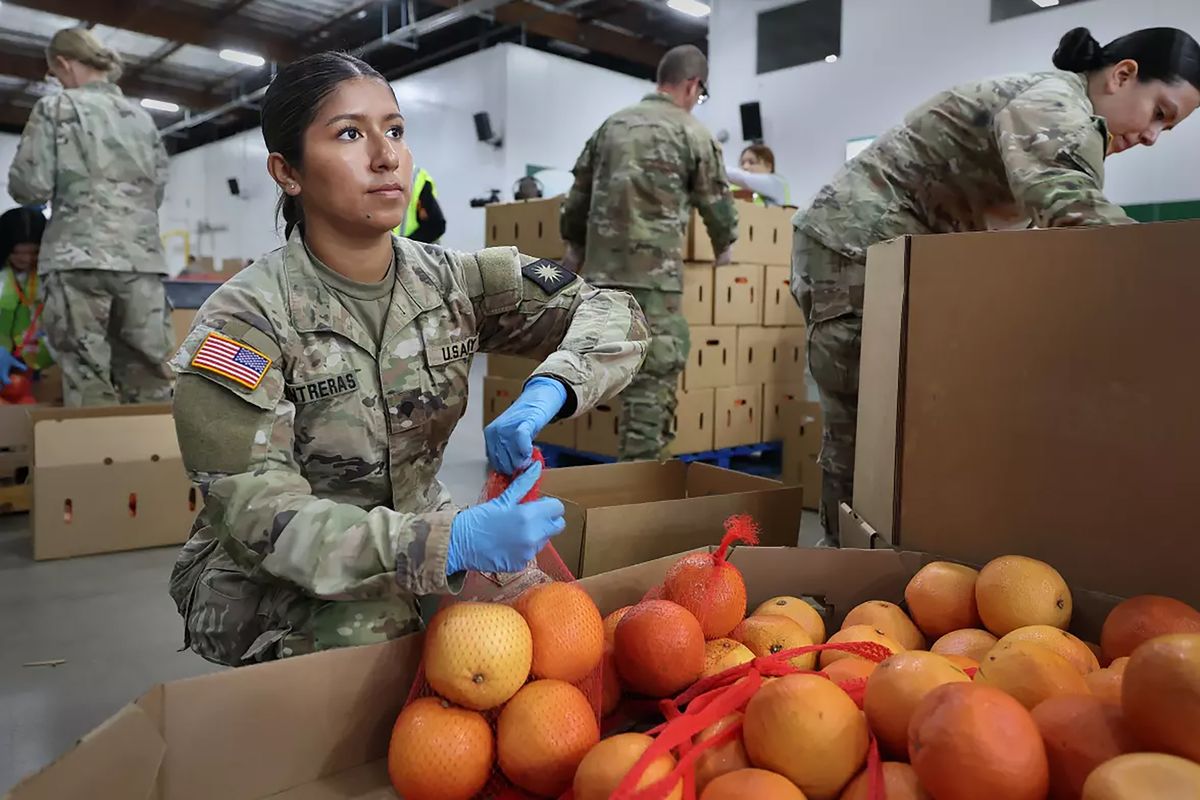 Army Spc. Jazmine Contreras, center, and Pfc. Vivian Almaraz, right, of the 40th Division Sustainment Brigade, Army National Guard, Los Alamitos, help workers and volunteers pack boxes of produce at the Los Angeles Regional Food Bank on Friday, Oct. 24, 2025. (Allen J. Schaben/Los Angeles Times/TNS)