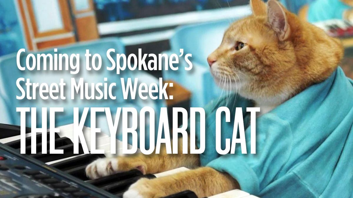 World, meet the new Keyboard Cat Skinny is raising some fur and some funds during Street