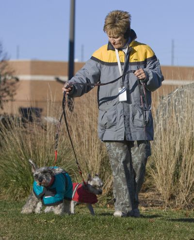 Sarie and Joey, 9-year-old miniature schnauzers, walk with a Humane Society volunteer in Omaha, Neb., last month. The dogs were dropped off with a note that said the owners could not afford to keep them.  (Associated Press / The Spokesman-Review)