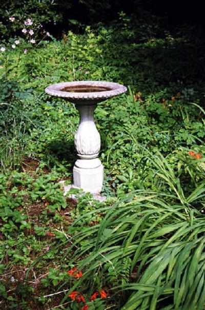 
Stagnant water is where mosquitoes lay their eggs. One option for a stagnant water source is to add a water pump and fountain to keep the water moving. 
 (File Photo / The Spokesman-Review)