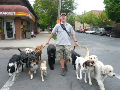 Curtis Johnson out for a walk with his canine charges.King Features (King Features / The Spokesman-Review)