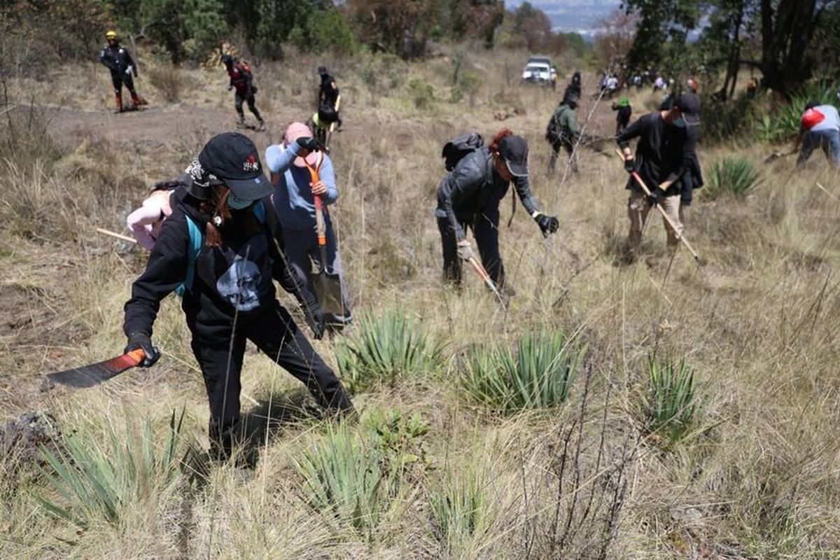 Members of the missing‑persons collective Hasta Encontrarles carry out searches in El Ajusco National Park, after Marcela Figueroa, head of Mexico’s National Public Security System said authorities had potentially identified more than 40,000 people previously listed as disappeared who may still be alive by cross‑referencing official databases, including tax records and marriage registries, in Mexico City, Mexico, March 27, 2026.REUTERS/Luis Cortes (Luis Cortes)