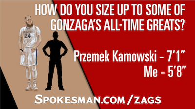 Interactive Zags height graphic
