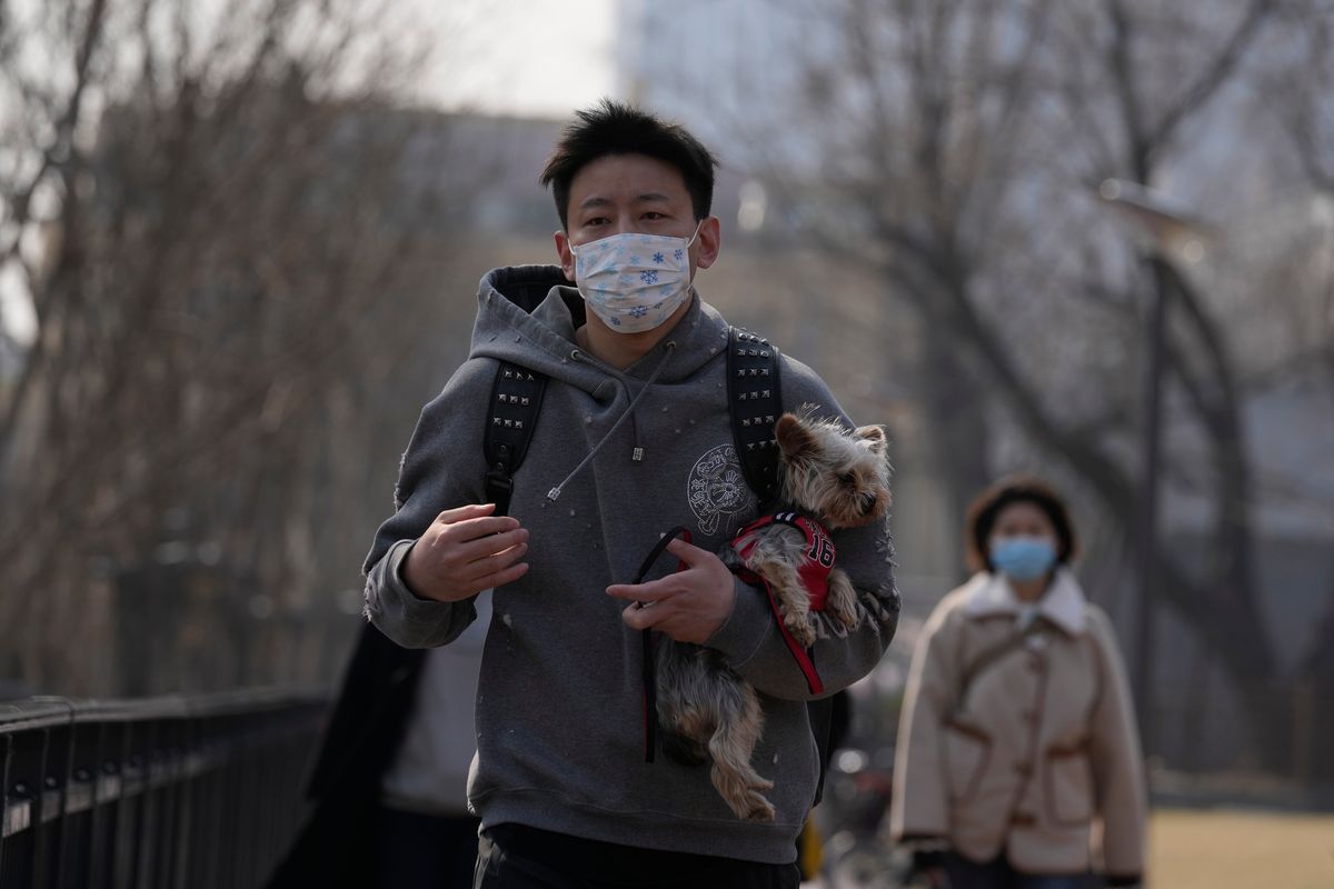 A man wearing a mask carries a dog wearing a jersey on the street on Sunday, March 20, 2022, in Beijing. China
