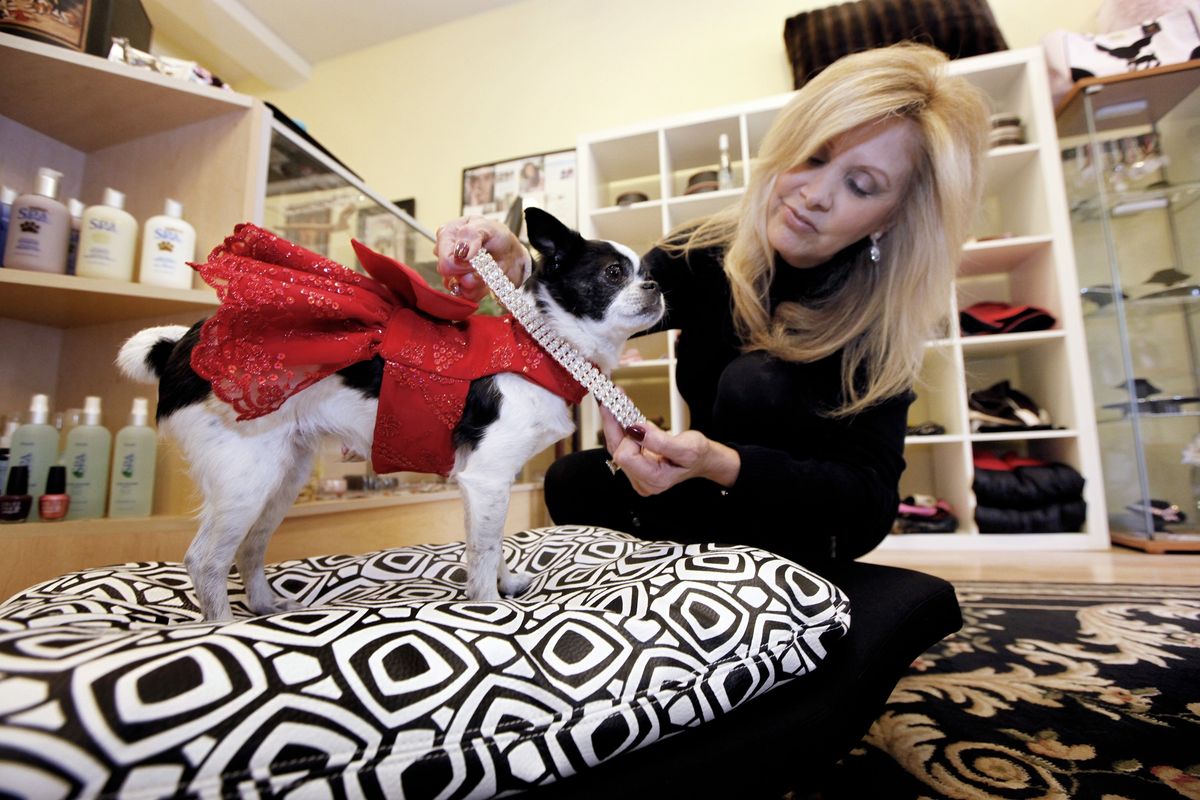 Sandy Seigler, owner of the Beverly Hills Mutt Club, tries a crystal necklace on her 5-year-old Chihuahua-Chin mix, Tatiana, and a Candy Apple Couture dog gown at the shop in Beverly Hills, Calif.  (Associated Press)