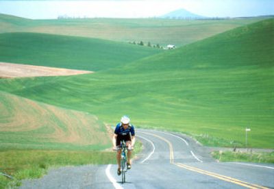 
A great way to explore the Palouse is by bicycle. Much of the land is dominated by Steptoe Butte, seen in the distance.
 (The Spokesman-Review)