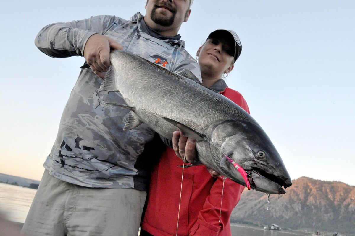 Mindy Webster caught this chinook salmon in the Columbia River near Brewster while fishing with a sockeye lure manufactured by the a business co-owned by her husband and fishing guide Jerrod Gibbons. The Sockanator by Money Maker, a tackle company based in Omak, lure features a UV enhanced holographic Hoochie topped Shaker Wing that wobbles as it spins. (Rich Landers / The Spokesman-Review)