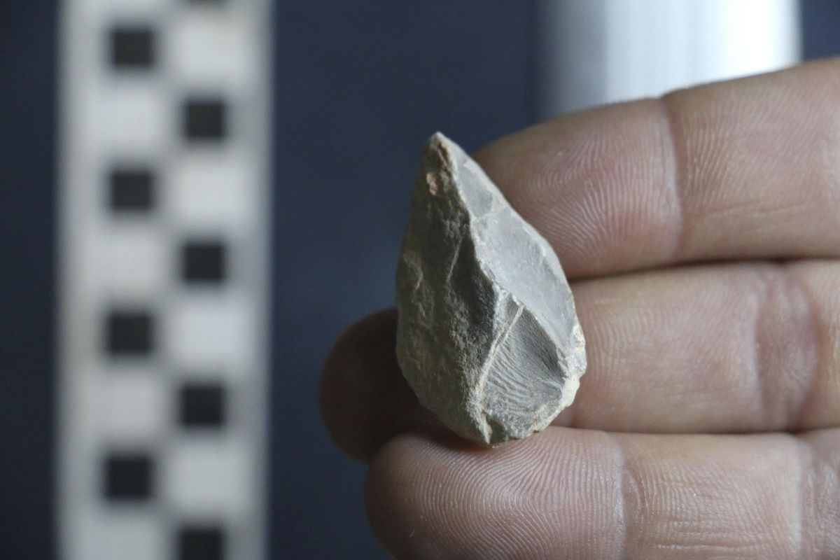 This undated photo provided by Ciprian Ardelean in July 2020 shows a stone tool found below the Last Glacial Maximum layer from a cave in Zacatecas, central Mexico. Artifacts from the cave suggest people were living in North America much earlier than most scientists think. Researchers reported Wednesday, July 22, 2020, that the tools date to as early as 26,500 years ago, about 10,000 years before the generally accepted date for the earliest human presence in North America. (Ciprian Ardelean)