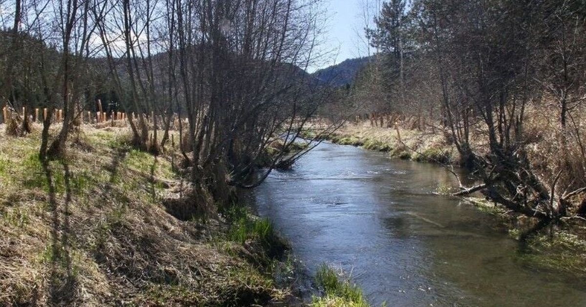 ‘They’re not scared, they’re just at home’: Man plans to donate 885 acres to the Kalispel Tribe through conse...
