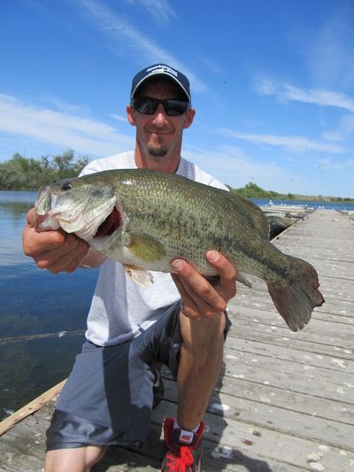 Justin Davis of Richland landed this largemouth bass -- 3.6 pounds, 17.5 inches long -- on Saturday while fishing at Sprague Lake. (Scott Haugen / Four Seasons Campground)