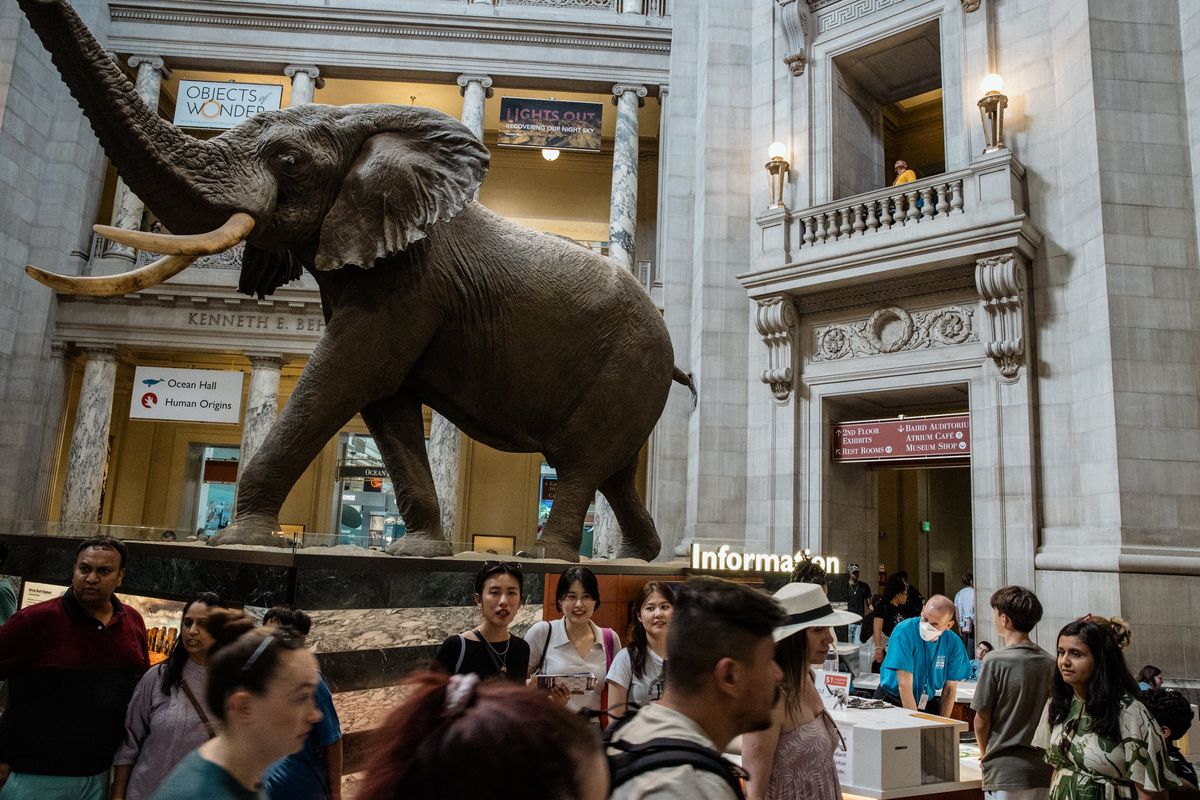 A person wearing a mask works the information desk of the National Museum of Natural History in Washington on May 25. MUST CREDIT: Rosem Morton for The Washington Post  (Rosem Morton/For The Washington Post)