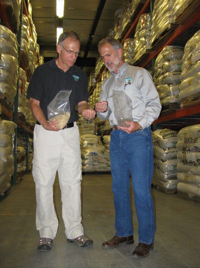 Steve Ellis, deputy director of the U.S. Bureau of Land Management, left, and Tim Murphy, Idaho state BLM director, examine some of the native seeds stored in Boise Monday. (Betsy Russell)