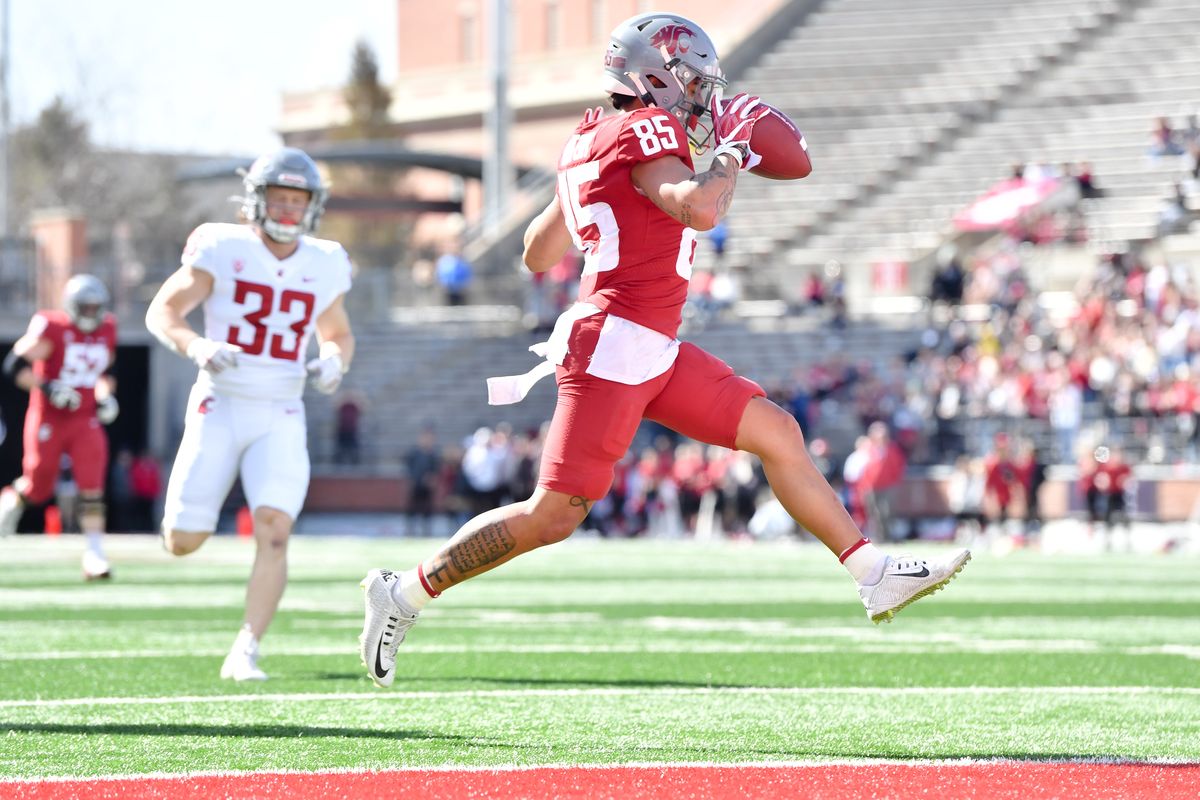 Washington State Cougars wide receiver Lincoln Victor (85) runs the ball for a touchdown against the defense during the first half WSU’s spring Crimson and Gray game on Saturday Apr 23, 2022, Martin Stadium in Pullman, Wash.  (Tyler Tjomsland/The Spokesman-Review)