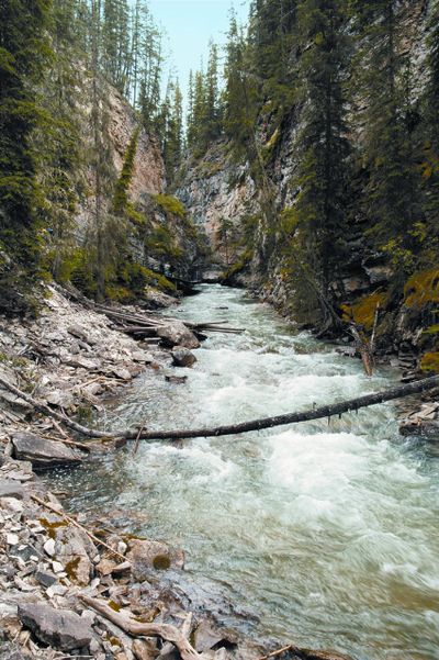 For those with a passion for the environment, it's easy to be dissilusioned right now. But columnist Tracy Wendt points out that we wouldn't have the progress we've had today if past natural resource pioneers threw in the towel. (Metrocreative)