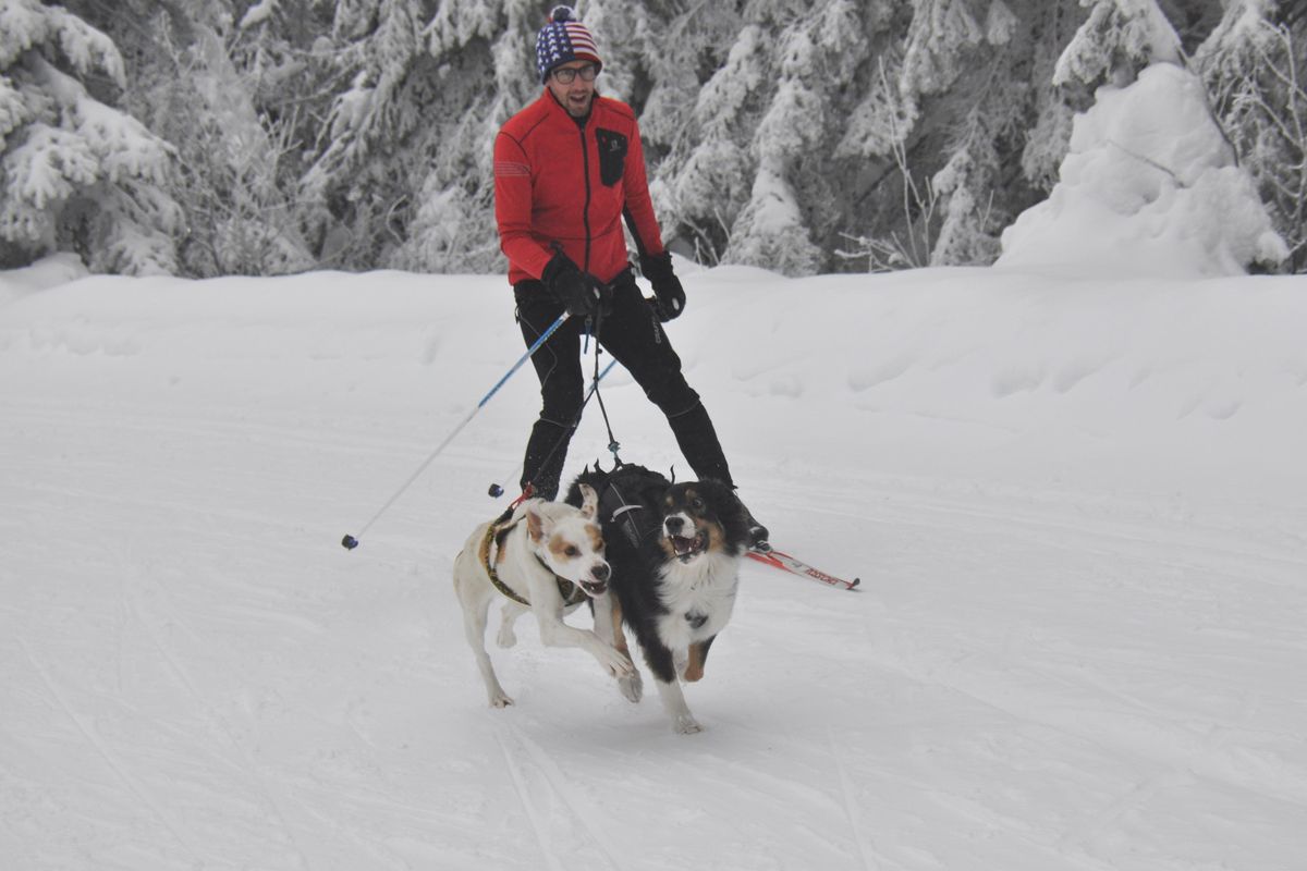 Competitive skijorer Dan Hanks of Coeur d