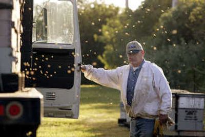 
Bees fill the air in late May as beekeeper Eric Olson releases them in a field near Long Beach, Wash. Below, Olsen delivers hives to a farm near Long Beach. Many of Washington's crops depend on pollinating honey bees.
 (Associated Press photos / The Spokesman-Review)