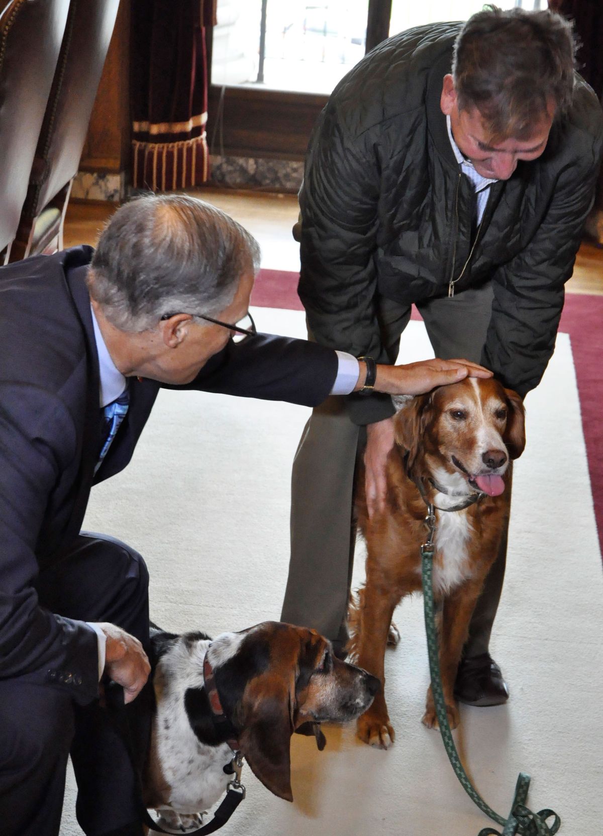 Tillie the hero dog gets some love from Washington Gov. Jay Inslee while her owner, BJ Duft holds her. Phoebe, the Basset hound that was rescued, is in the foreground. (Jim Camden/The Spokesman-Review)