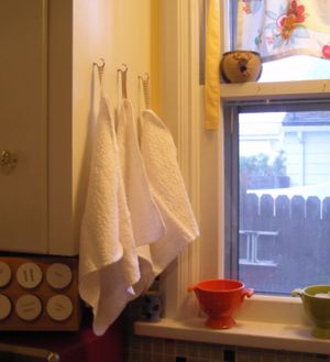 Replacing paper towels in the kitchen will reduce waste and cost! (Maggie Bullock)
