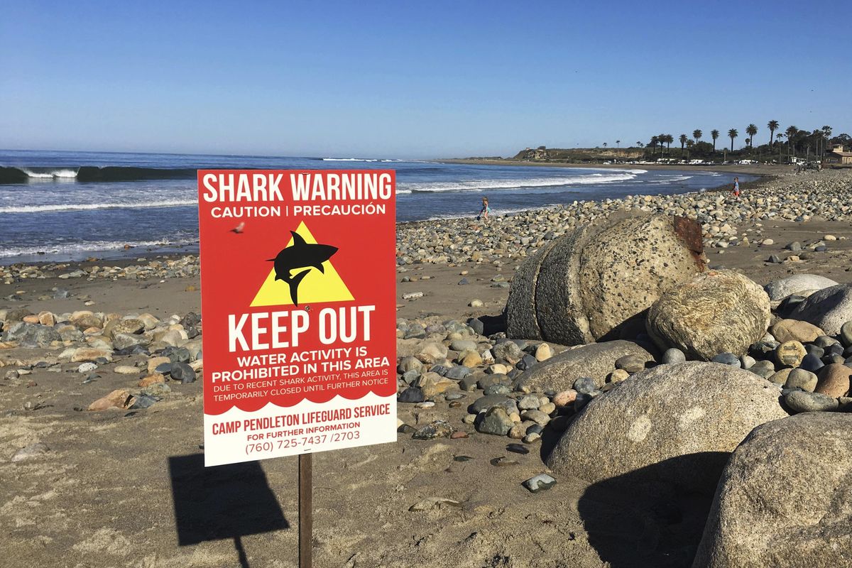 In this Sunday, April 30, 2017, photo, a sign warns beachgoers at San Onofre State Beach after a woman was attacked by a shark in the area Saturday, along the Camp Pendleton Marine Base in San Diego County, Calif. The beach remained closed Sunday. (Laylan Connelly / The Orange County Register)