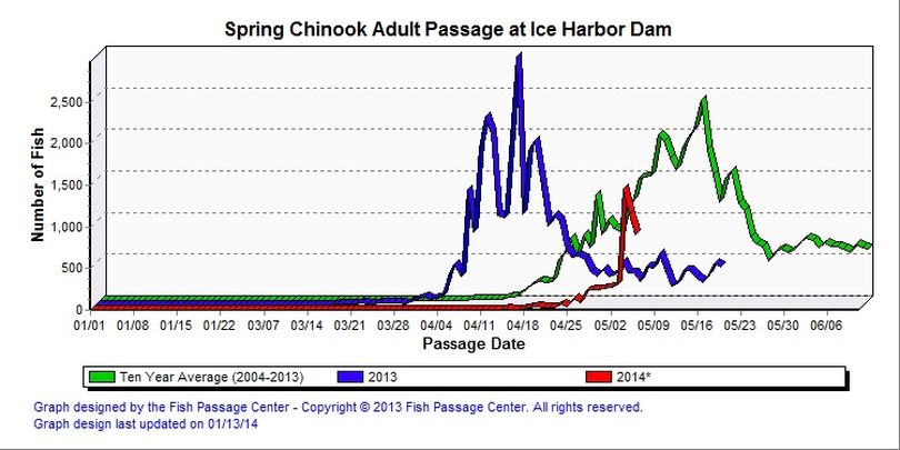 Ice Harbor is the first Snake River dam salmon hit on their upstream migration. (Fish Passage Center)