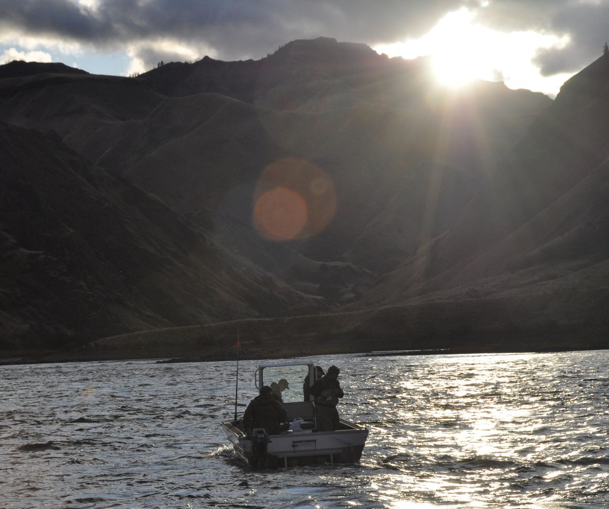 Steelhead anglers usually are on  the Snake River well before sunrise as they pursue the large fish returning up the Columbia River system from the ocean in record numbers this fall. The fish will winter in the Columbia, Snake and other tributaries before spawning in spring.    (Rich Landers / The Spokesman-Review)