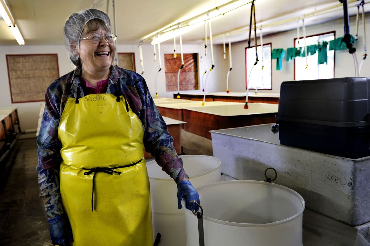 “The Lord giveth and the FDA taketh away,” said Nadine Scharf, part owner of Evergreen Produce in Moyie Springs, Idaho. (Kathy Plonka)