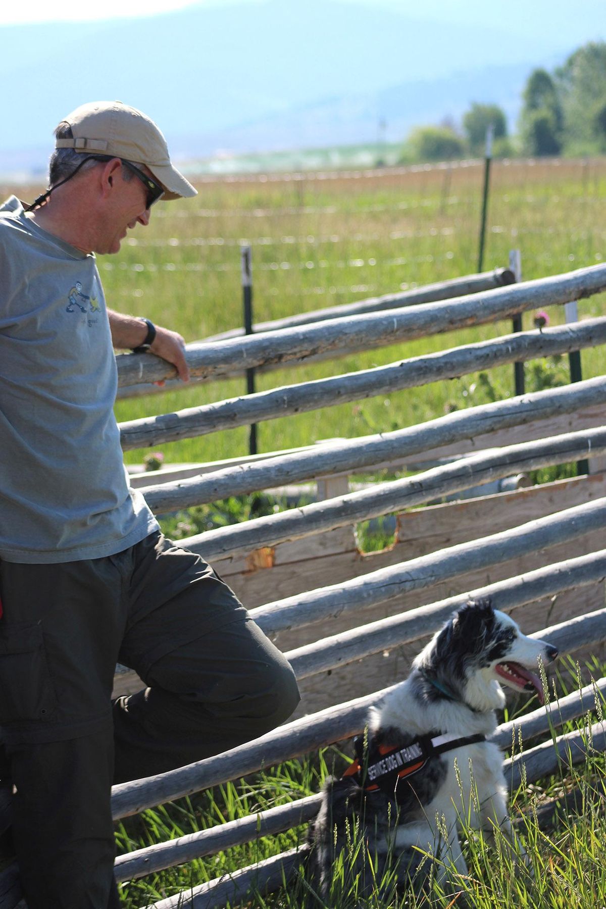 Mark Biel took Gracie home when she was a 10-week-old puppy. Even though she is being trained for work, she is still a family pet. (Sarah Dettmer / Tribune News Service)