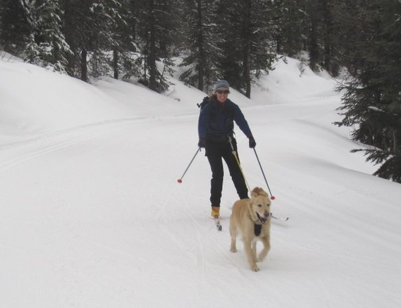 Shelley Richards and Luna enjoy skijoring at Mount Spokane nordic trails, were dogs are allowed on a certain trail Sunday and Wednesday afternoons after 2 p.m. (Diana Roberts)