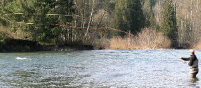 
Spey fishing for steelhead.
 (Courtesy of Fly Fish USA / The Spokesman-Review)