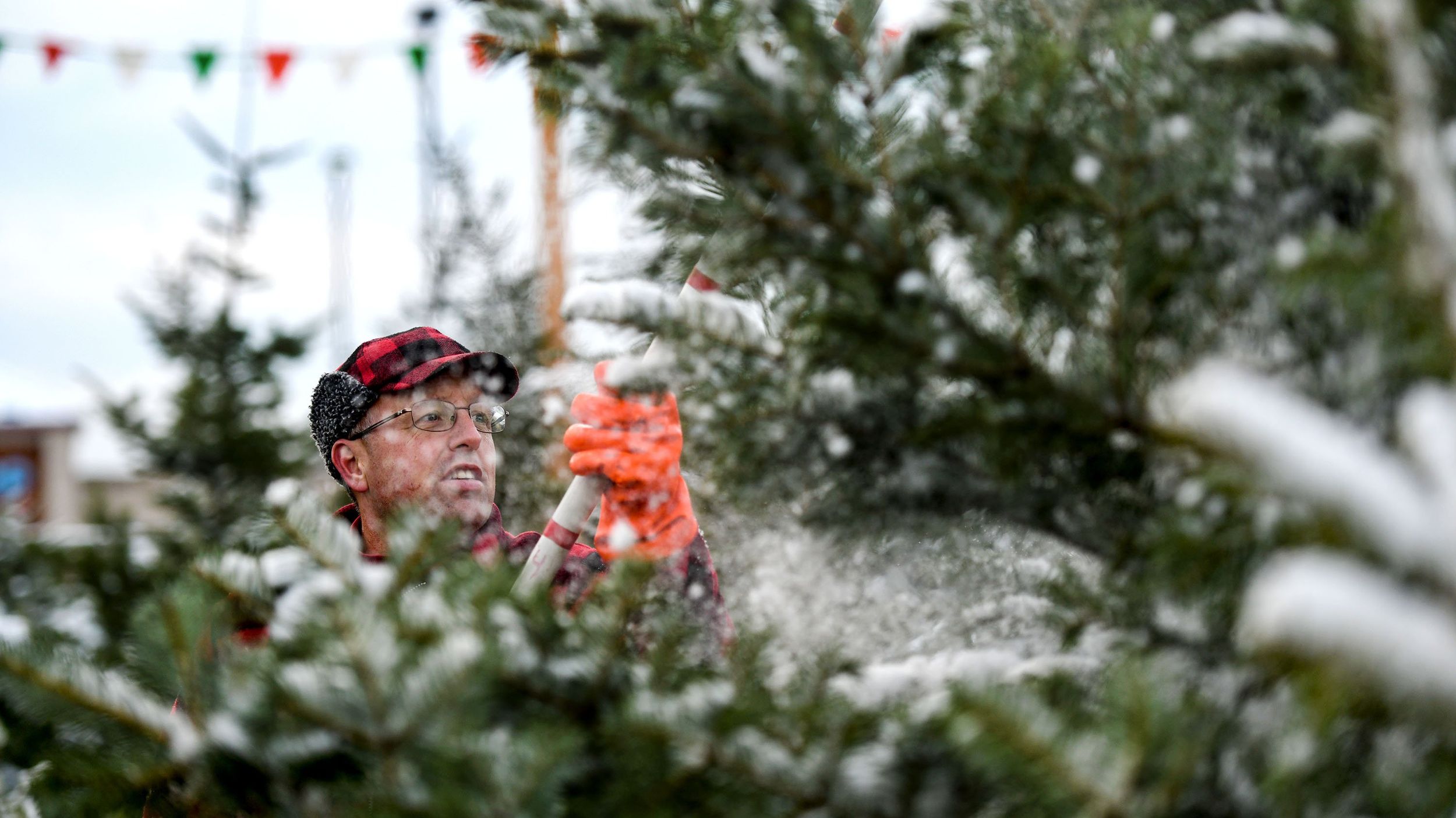 Spokane City 2022 Christmas Tree Disposal City Of Spokane Will Pick Up Your Christmas Tree For Free On Your Garbage  Days Dec. 27-Jan. 7 | The Spokesman-Review