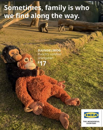 A new Ikea ad has seized on the viral moment. 