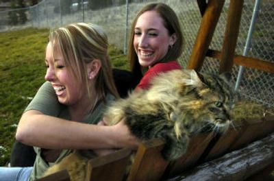 
Kristin Nooner, left, tries to prevent Jasmine the cat from escaping while her sister Lauren Nooner laughs Friday afternoon. Kristin and Lauren saved the pets and cows that their family owned when a wildfire threatened their home in 2002. 
 (Holly Pickett / The Spokesman-Review)