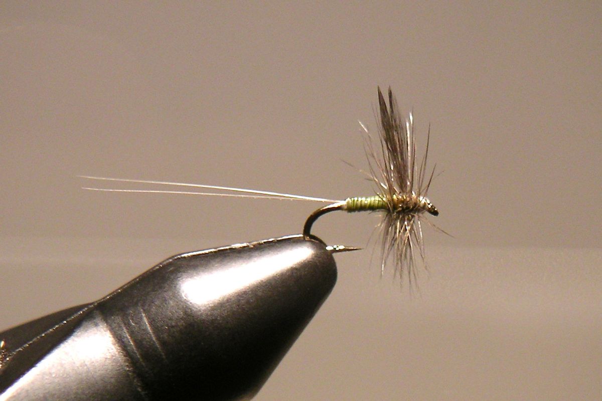 This classic Blue-Wing Olive dry fly pattern is one of Steve Moss’s staples for winter fly fishing on the Spokane River.
