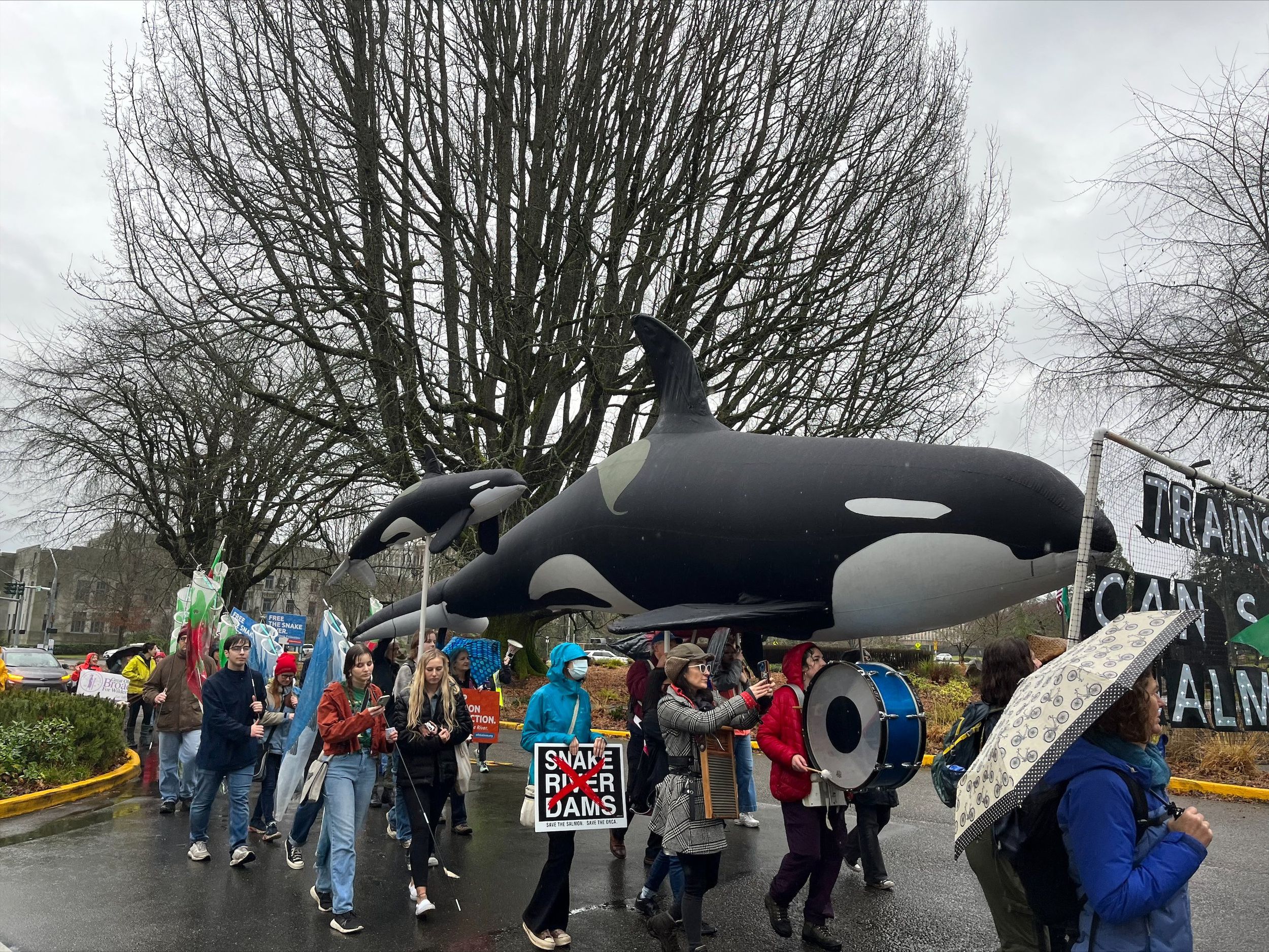 Rally in Olympia calls for legislative action to make Lower Snake River dam  breaching a possibility