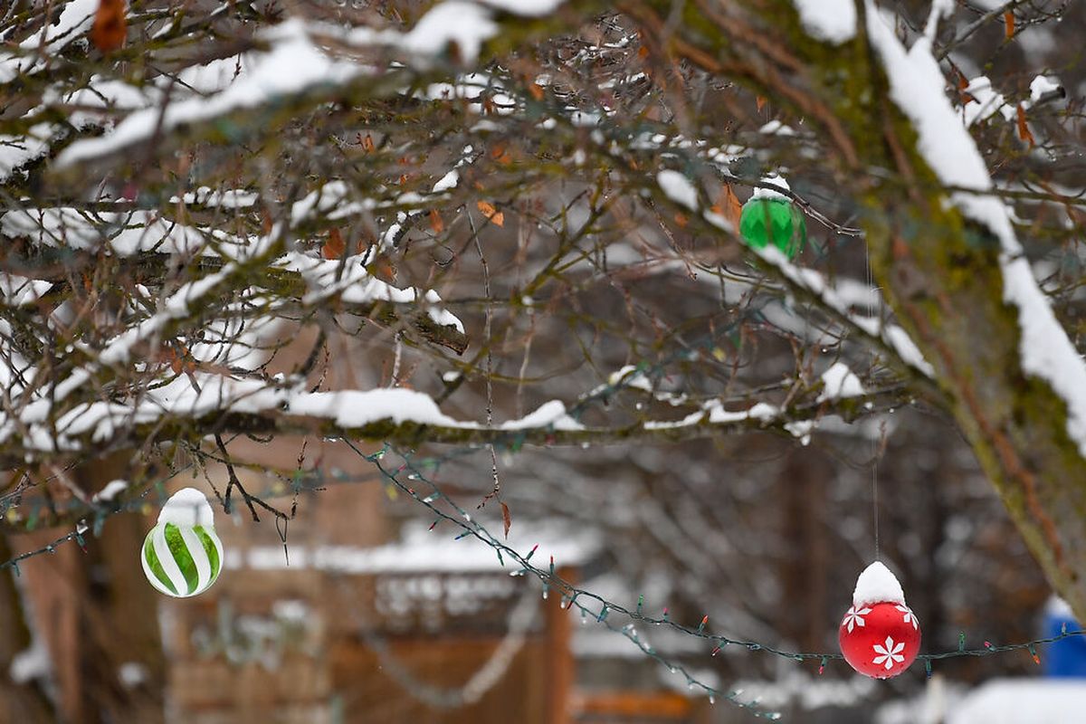 Snow covered ornaments hang in a yard on Saturday in Spokane, Wash. The Inland Northwest is poised to receive plenty more snow this week.   (Tyler Tjomsland/THE SPOKESMAN-REVIEW)