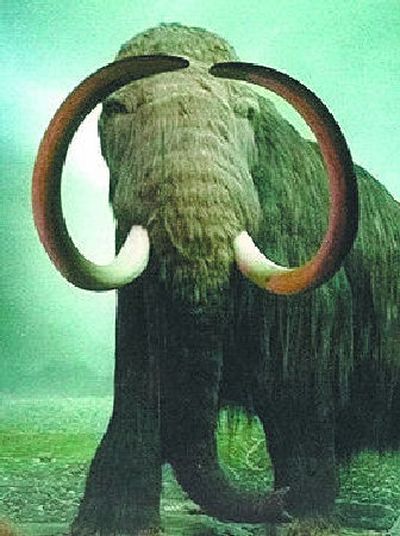 
Sorry pal.  Maybe next year.
 (The Spokesman-Review)