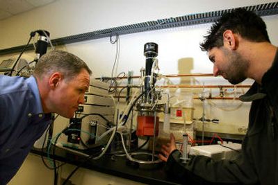 
Chemical engineer Jay Keasling, left, observes genetically engineered yeast along with graduate student Eric Paradise in the Berkeley Center for Synthetic Biology at the Lawrence Berkeley National Laboratory in Berkeley, Calif., on Tuesday. 
 (Associated Press / The Spokesman-Review)