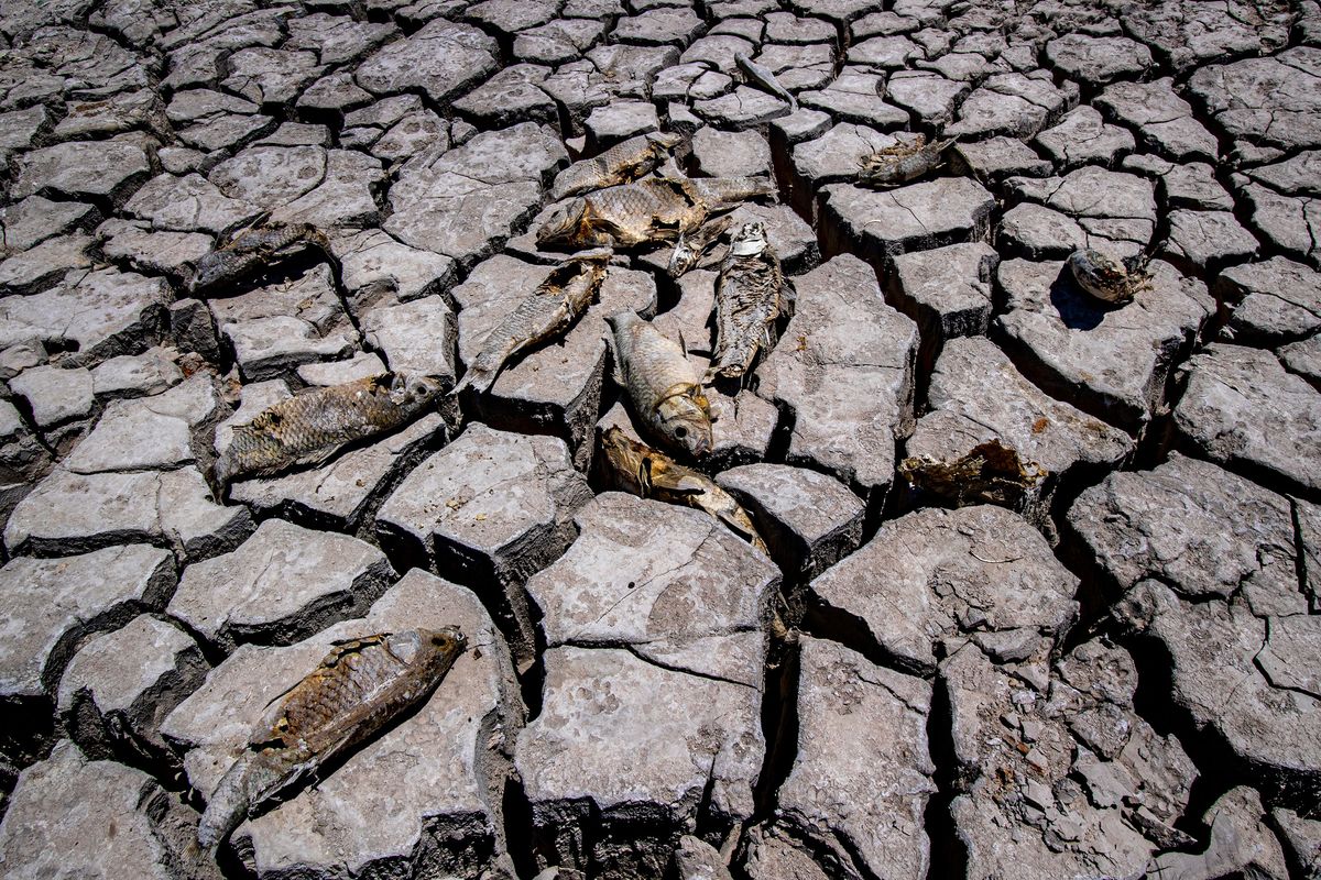 Lake Mead’s level has dropped nearly 170 feet since 2000, exposing islands, old boats and even human remains.    (Gina Ferazzi/Los Angeles Times/TNS)