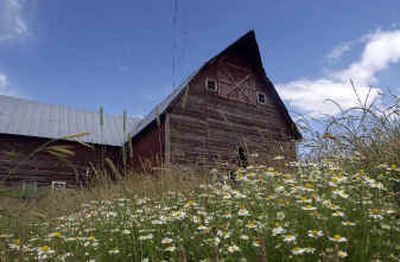 Developers say they draw inspiration from the Gozzer farm.
(Jesse Tinsley / The Spokesman-Review)