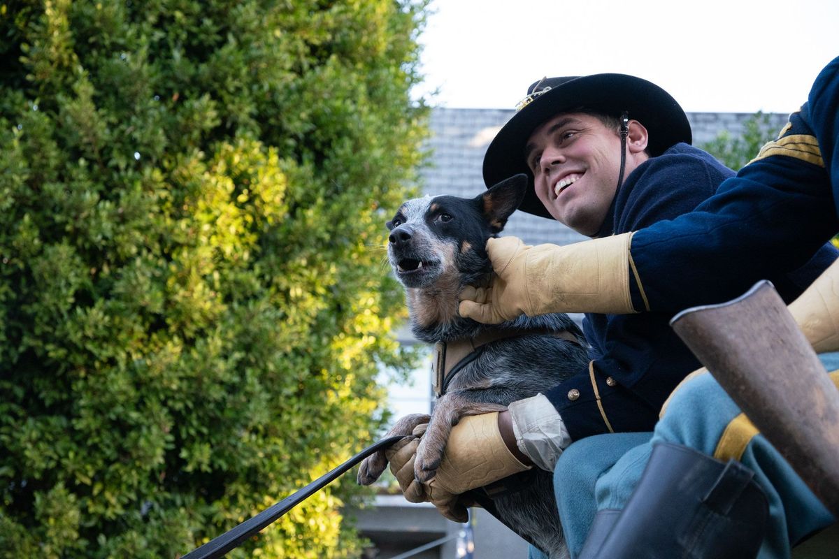 Doc Holliday is the only dog taking part in the military parade June 14 in Washington, D.C. (1st Cavalry Division, US Army)