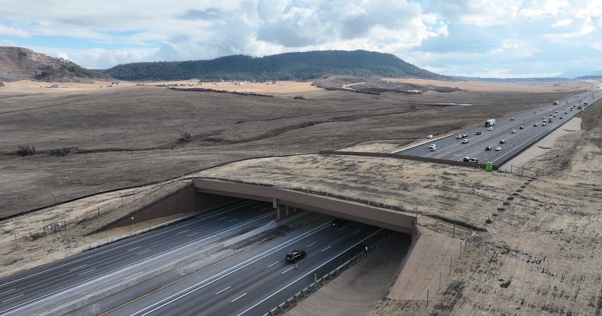 North America’s largest wildlife overpass opens over busy, remote road